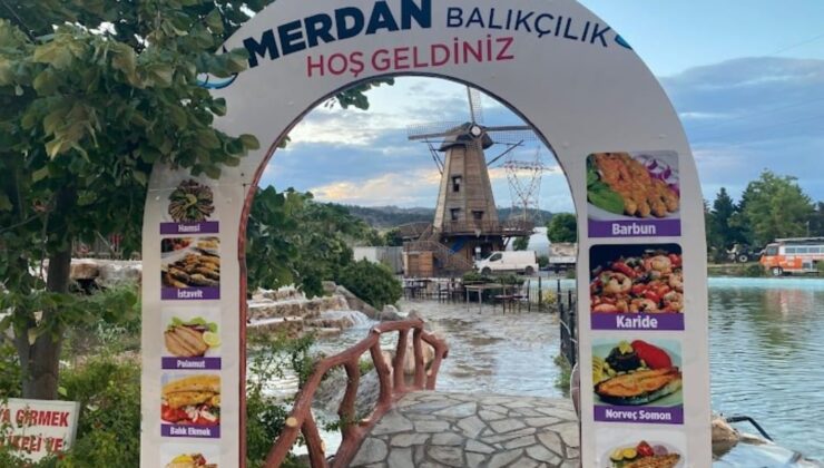 Palamut bolluğu fiyatları geriye çekti