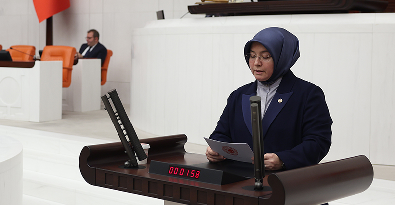Türkiye Büyük Millet Meclisi’nde devam eden bütçe görüşmelerinde, DEM Parti