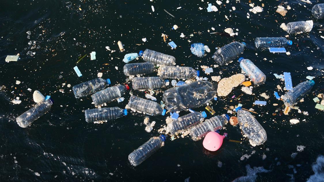 TEMA Vakfı, Dünya Çevre Günü’nde plastik kirliliğinin çevre, iklim ve