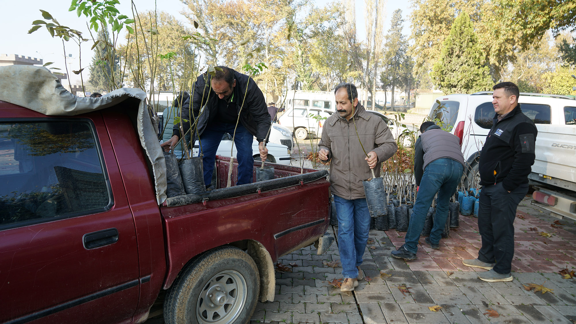 Büyükşehir Belediyesi, üreticilere yüzde 50 hibe ile sağladığı ceviz, badem