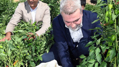 Büyükşehir Belediyesi, tarımla uğraşan üreticilere 2025 yılında da desteklerini artırarak