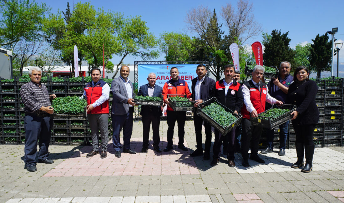 Büyükşehir Belediyesi, şehrin coğrafi işaretli ürünü olan Maraş Biberi’nin üretimini