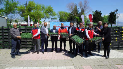 Büyükşehir Belediyesi, şehrin coğrafi işaretli ürünü olan Maraş Biberi’nin üretimini