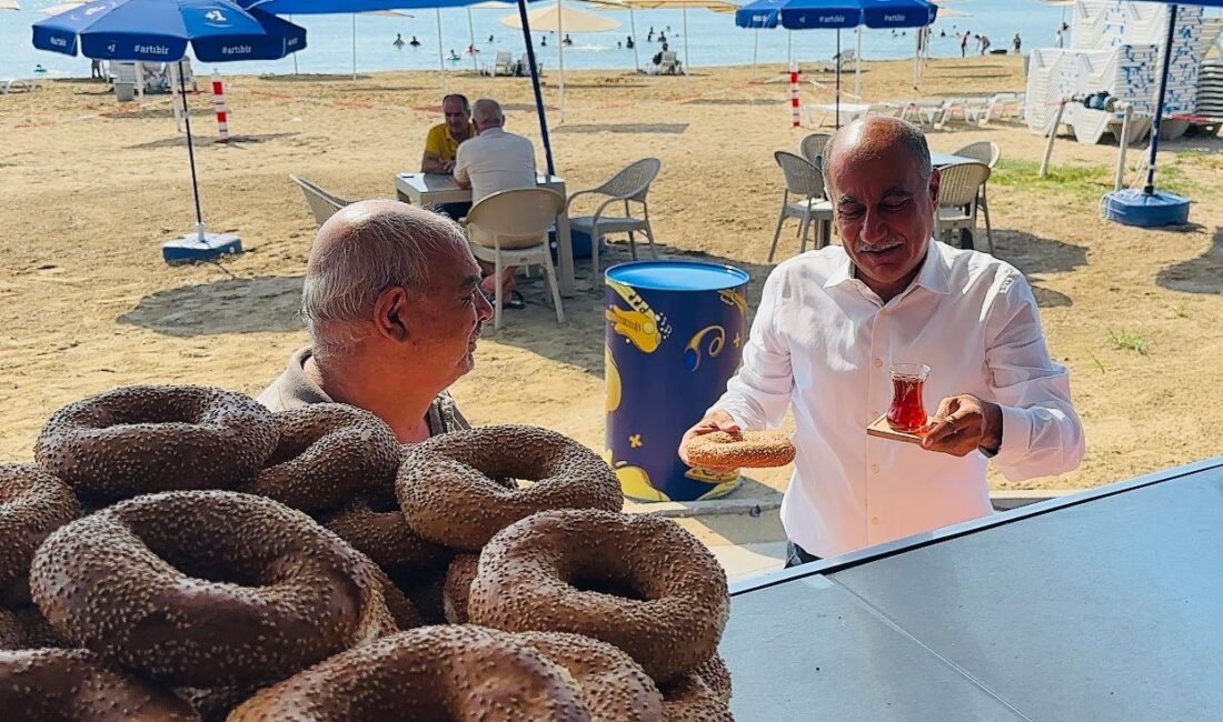 Güneyin parlayan yıldızı, enerji, liman ve sanayi yatırımlarının gözde ilçesi