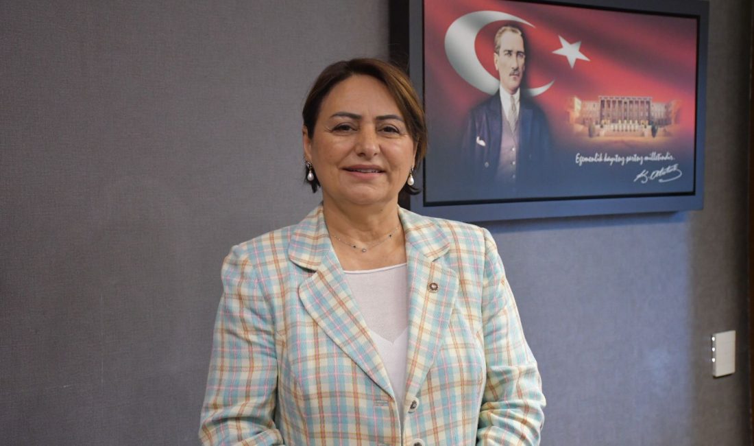 Cumhuriyet Halk Partisi Adana Milletvekili ve TBMM Başkanlık Divanı Üyesi