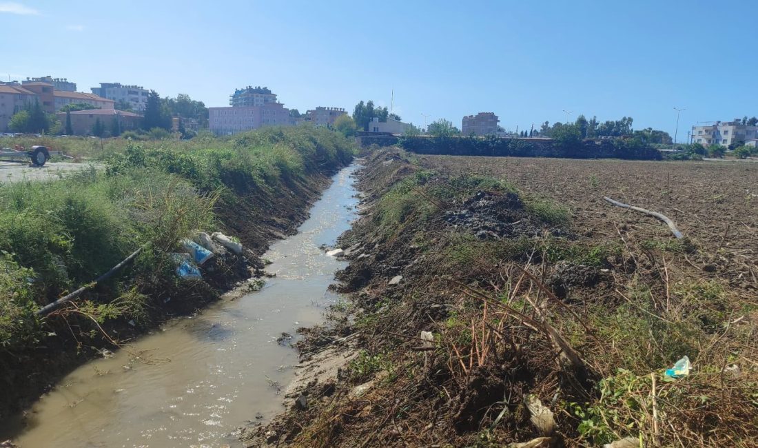 ADANA – Yumurtalık Belediyesi, olası yağışlarda yaşanabilecek taşkın ve su